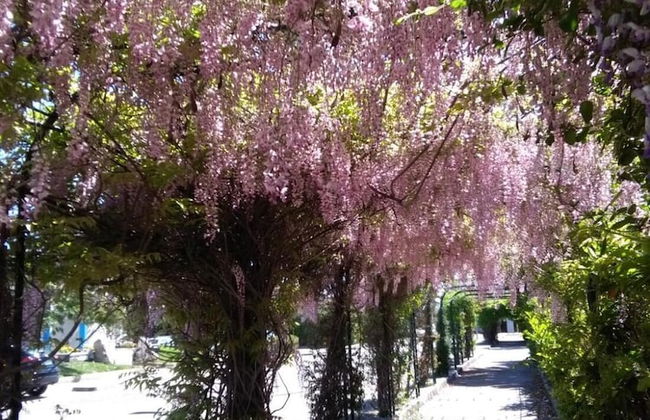 Maison Alighieri Oasi Verde - Photo 34