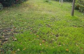 Ferienhaus am Geiseltalsee - Foto 21