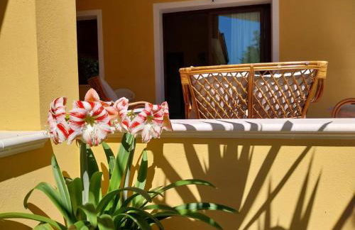 Casa Mameli - Photo 27