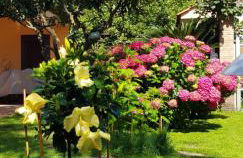 Villa Lidia - Foto 23