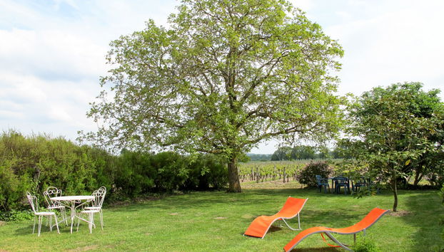 Les Mailloches - Foto 2, Terrace