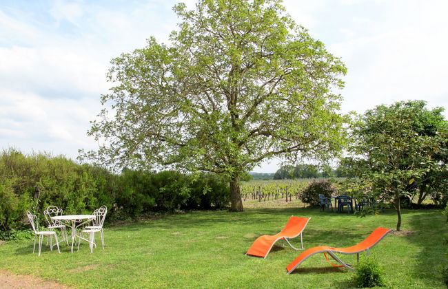 Les Mailloches - Foto 2