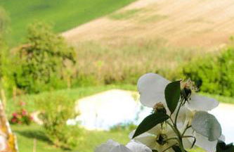 Country House in Monterado with Pool - Foto 24