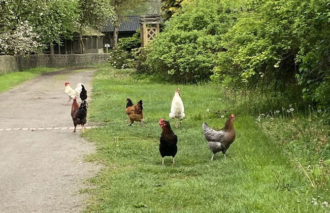 Gemutliche Unterkunft in Eschede - Foto 12
