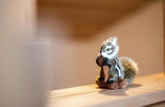 Le chalet de Nicolas - Your Nature Exclusive Retreat ! - Foto 16