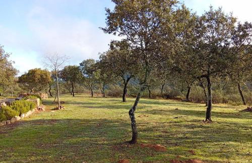 Finca Las Victorias - Foto 10