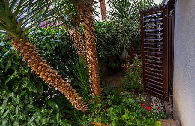 Lovely Studio Apartment in the Perfect Location - Foto 14