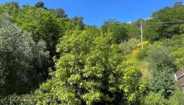 Residenza Emma Moneglia - Foto 3