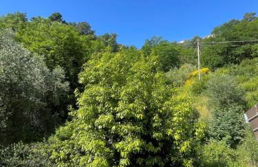 Residenza Emma Moneglia - Foto 3