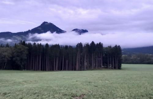 Apartement für Naturliebhaber - Foto 32