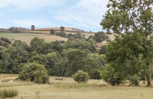Rhianwen, Plas Moelfre Hall Barns - Foto 33