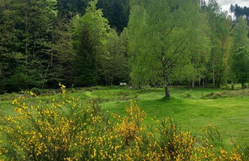 Nature Retreat in Lorraine - Foto 72