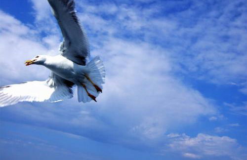 Nymfes Villas - Foto 40