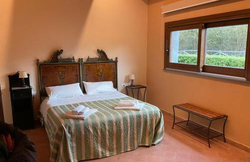 Feudo Magazzeni Etna - Foto 2