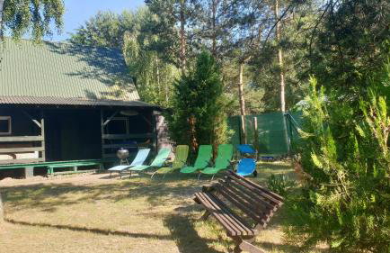 domki nad jeziorem, las, do 10 osób jezioro Wilczyńskie Budzisławskie - domek letniskowy osobno ogrodzony, ogrzewany mile widziane pieski, zwierzeta- wielkopolska, 62-550 Zygmuntowo gm Wilczyn - Photo 23