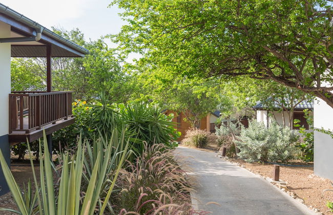 Morena Resort - Foto 57