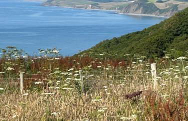 North Devon seaside cottage with log burner - Foto 28