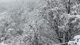 Casetta Gianni&Bea - Foto 2