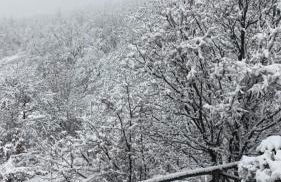 Casetta Gianni&Bea - Foto 2