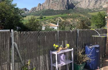 Paraiso Baja - Foto 22