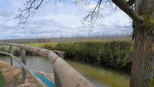 Domaine Cosme - Foto 2