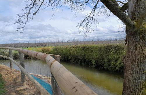 Domaine Cosme - Foto 2