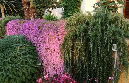 Villa Castiglione - Foto 24