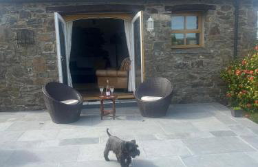 Badger Banc - Foto 3