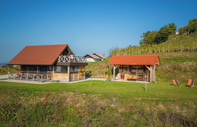 Vineyard Cottage Grajska Kasca - Foto 15