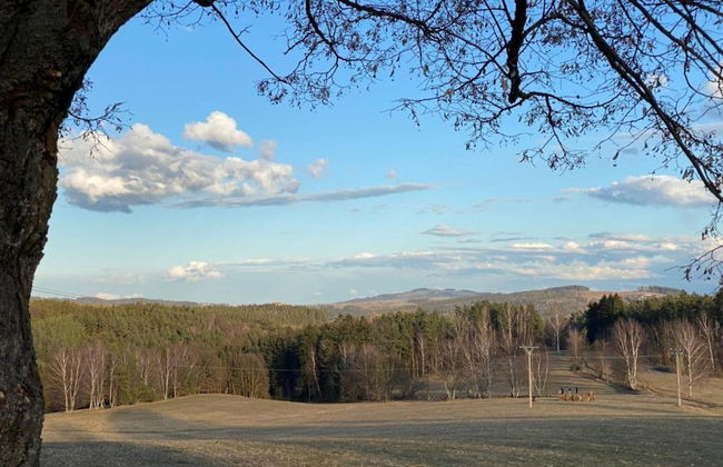 Luxury Chalet in Stupna near Ski Area - Foto 30