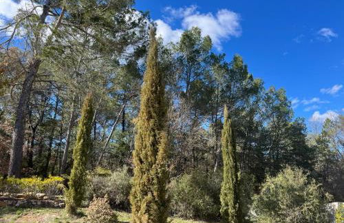 Casa nostra - Photo 6