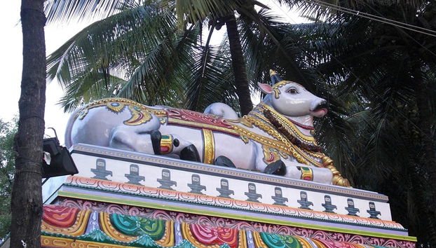 O Caminho do Património de Malleswaram - Foto 2