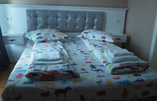 Premont Guesthouse Bran - Foto 1