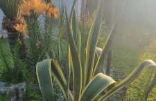 Spending seaside villa in Cirella, Italy - Foto 16