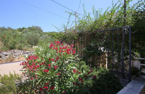 Apartments with parking space Stupin Celine, Rogoznica - 23929 - Foto 11