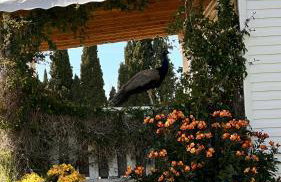 Le Mas Del Cargol - Foto 79