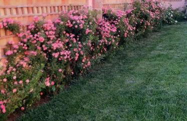 Villa Anna! - Foto 57