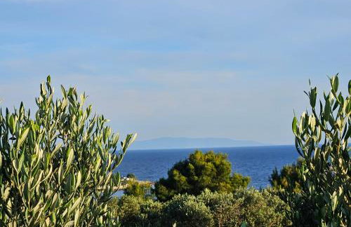 Authentic House Pelegrinka - Foto 43