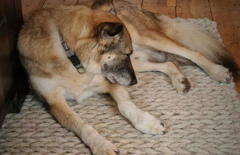 das rote Ferienhaus Terlinden - Foto 39
