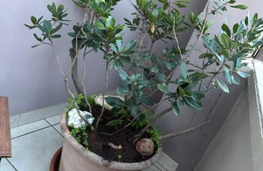 Il Cortiletto - Foto 53