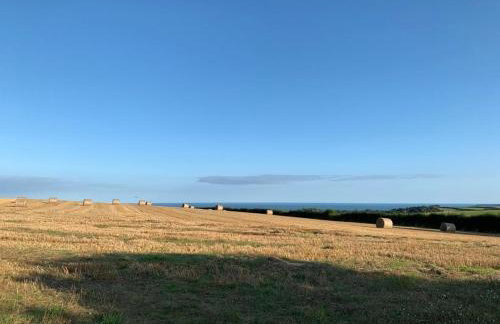 Hansel Cottage - Foto 9