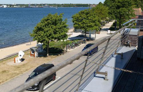 Strandhafer - Foto 6