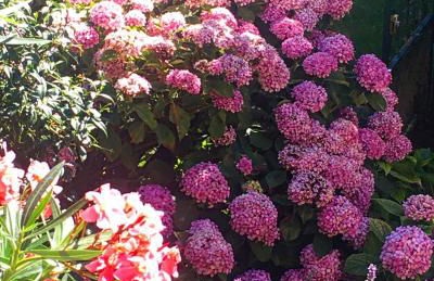 Gite Au Bouzigues - Photo 49