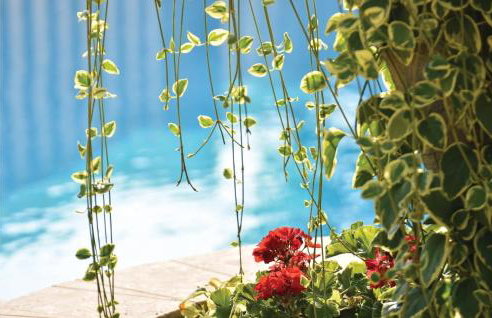 Holiday Home Kucice 34 - Photo 6