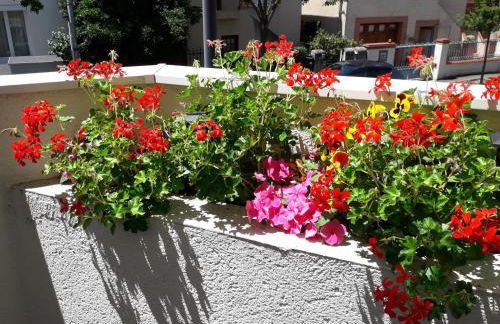 :) Grand studio lumineux à Toulouse et parking - Foto 22