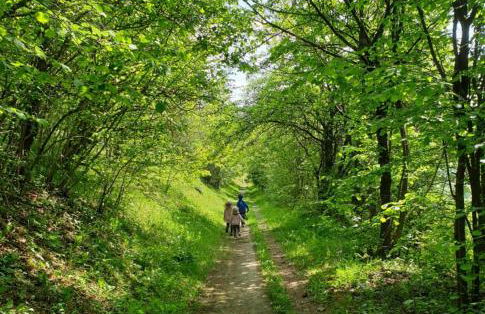 RhönStyle - Foto 32