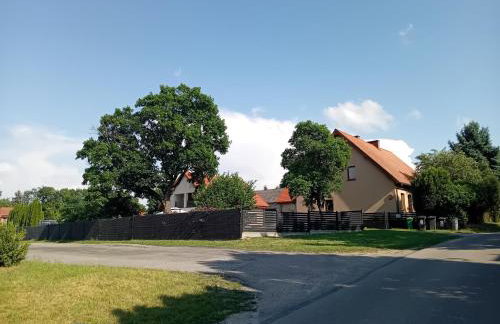 Pokoje gościnne Słoneczny Klon Dąbrówno - Foto 33