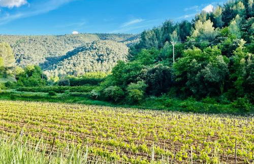 VILLA BEL - Entre paradis et vignes - Photo 71