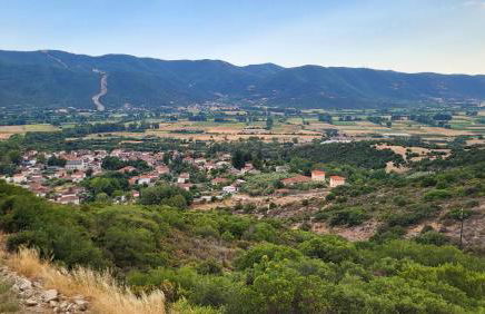 Villa Domatia - Photo 45