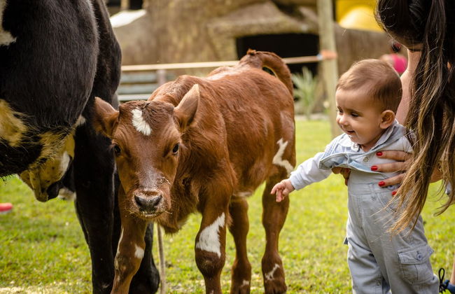 Hotel Fazenda Dona Francisca - Foto 48
